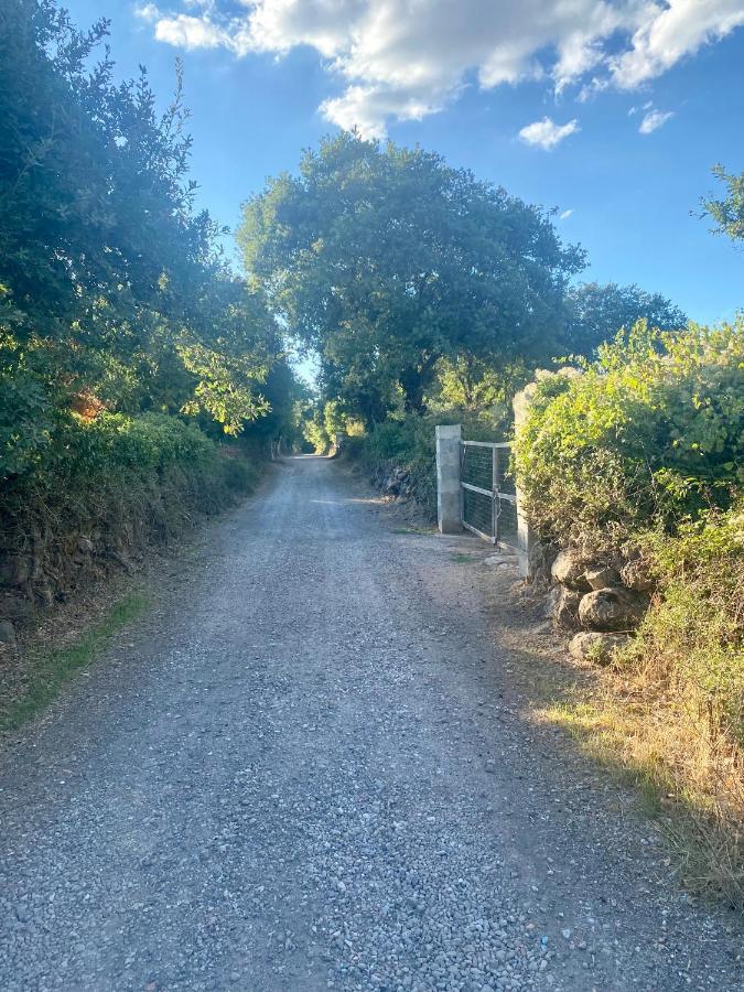 Nuraghe Ruiu Camping & Bungalow Norbello Exterior photo